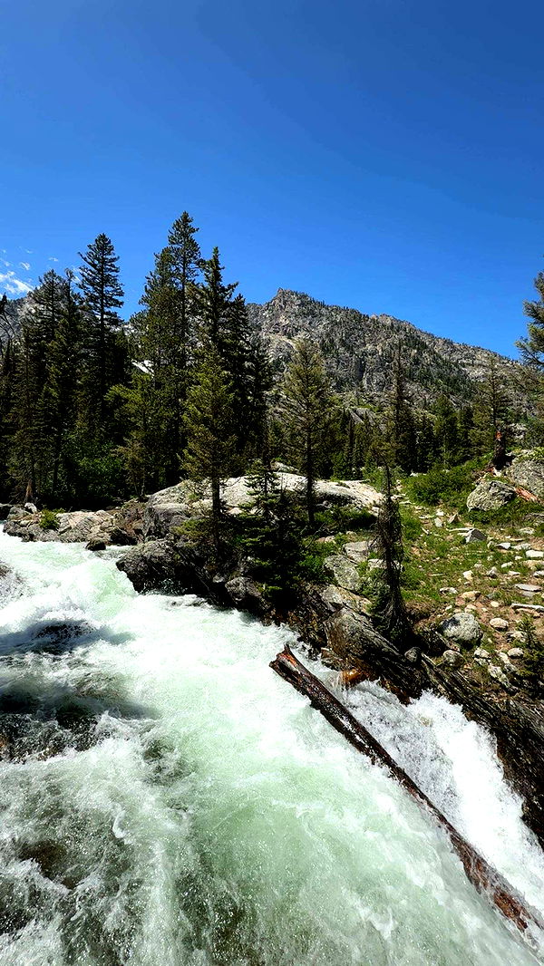 realhaylujan image ~ Altpins