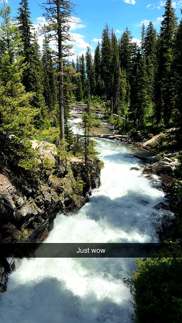 realhaylujan image ~ Altpins