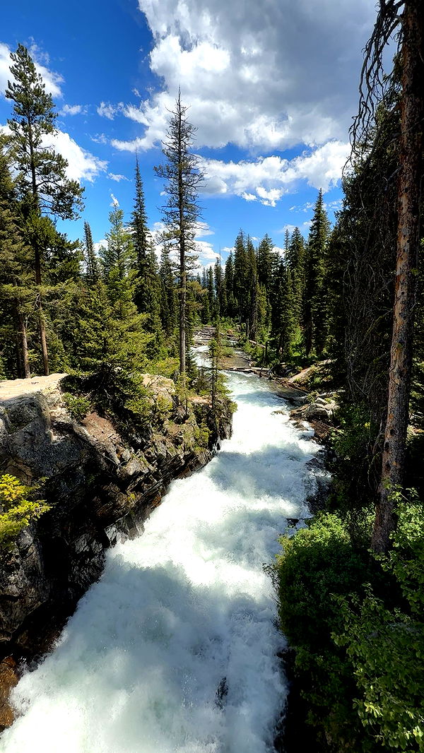 realhaylujan image ~ Altpins