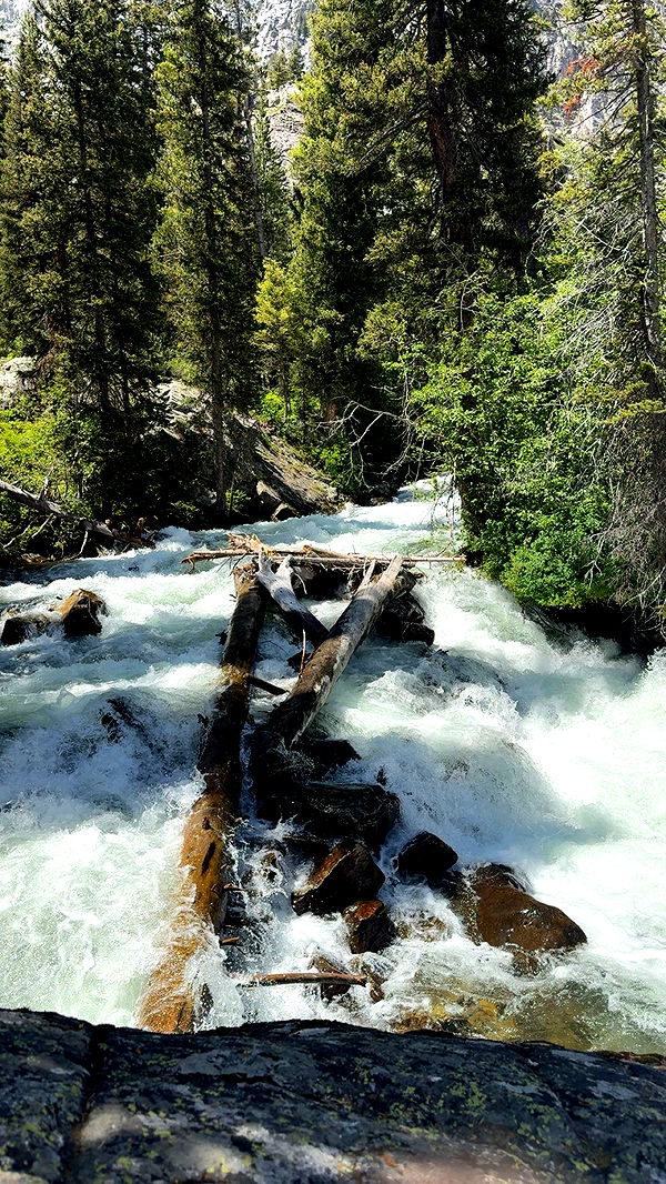 realhaylujan image ~ Altpins