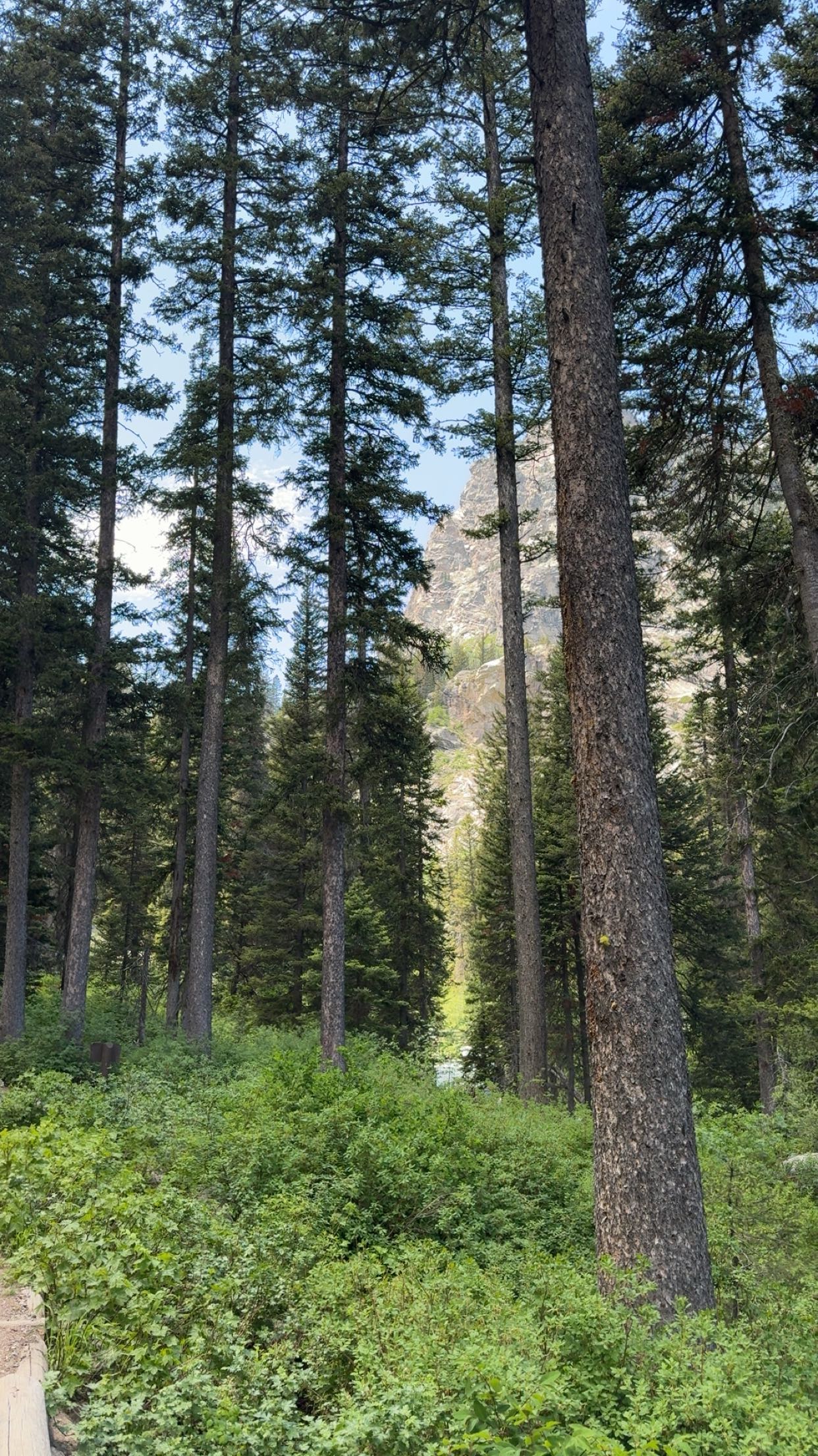 realhaylujan snapchat image archive image