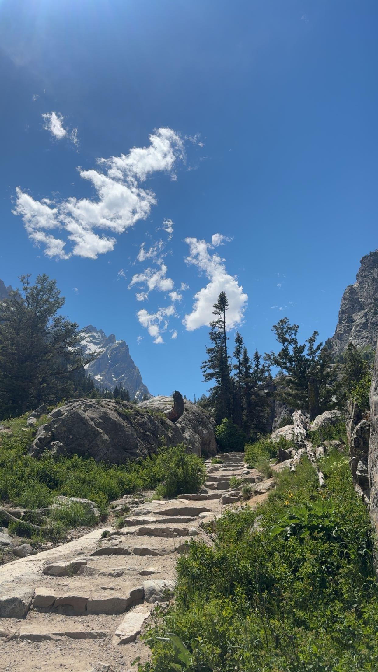 realhaylujan snapchat image archive image