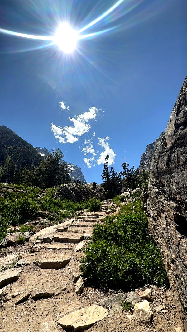 realhaylujan image ~ Altpins