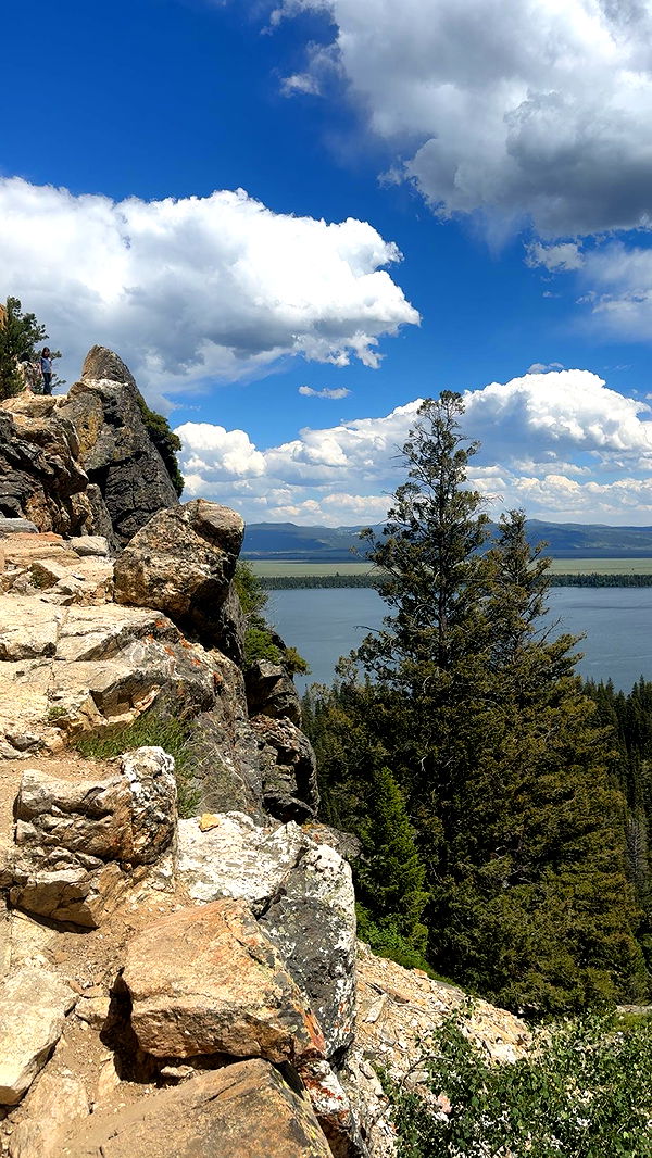 realhaylujan image ~ Altpins