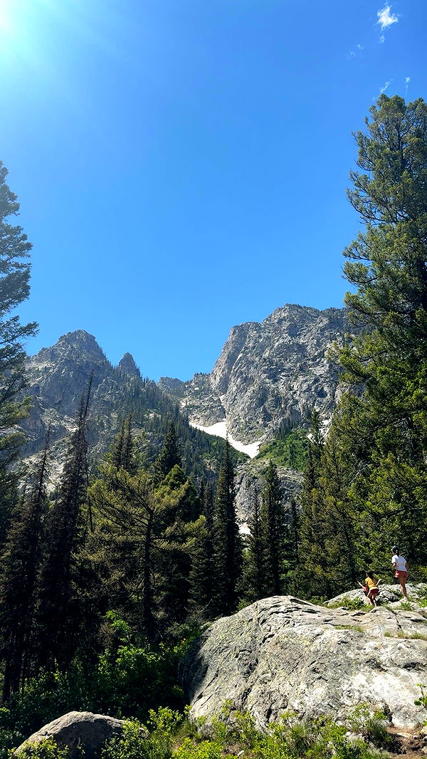 realhaylujan image ~ Altpins