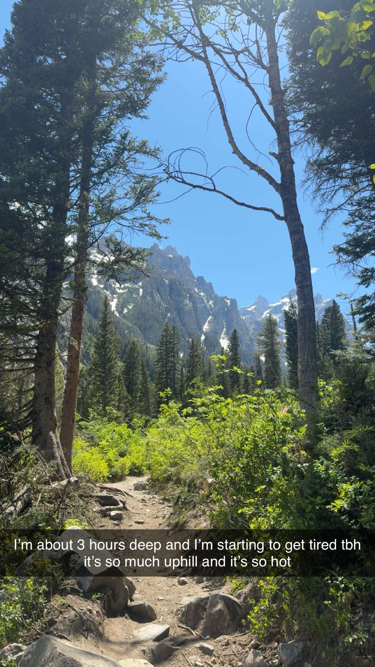 realhaylujan snapchat image archive image