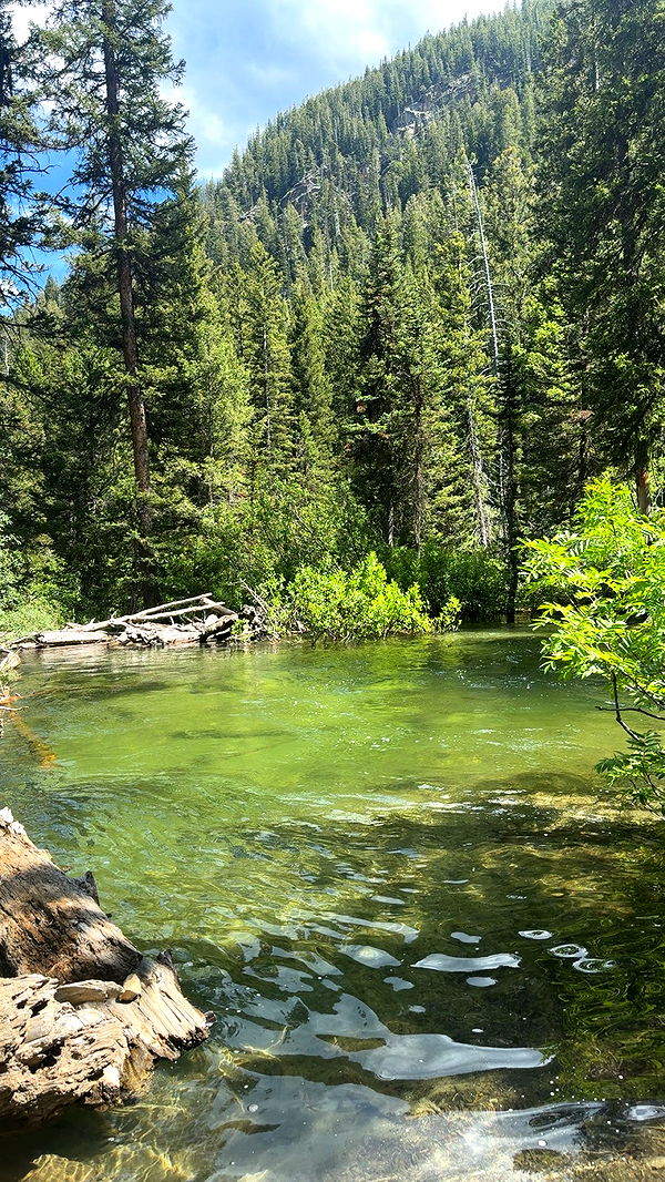 realhaylujan image ~ Altpins