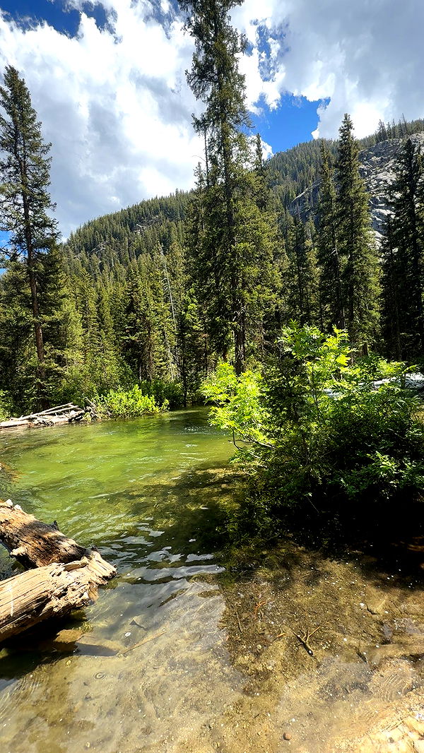 realhaylujan image ~ Altpins