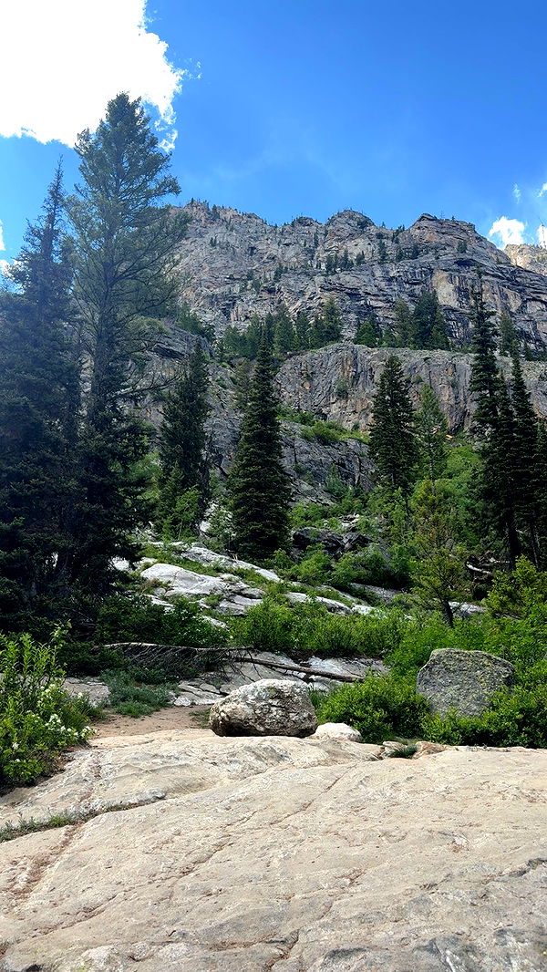 realhaylujan image ~ Altpins