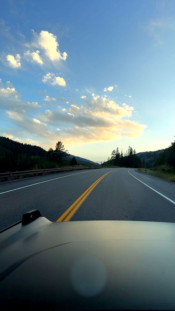 realhaylujan image ~ Altpins