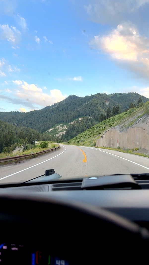 realhaylujan image ~ Altpins