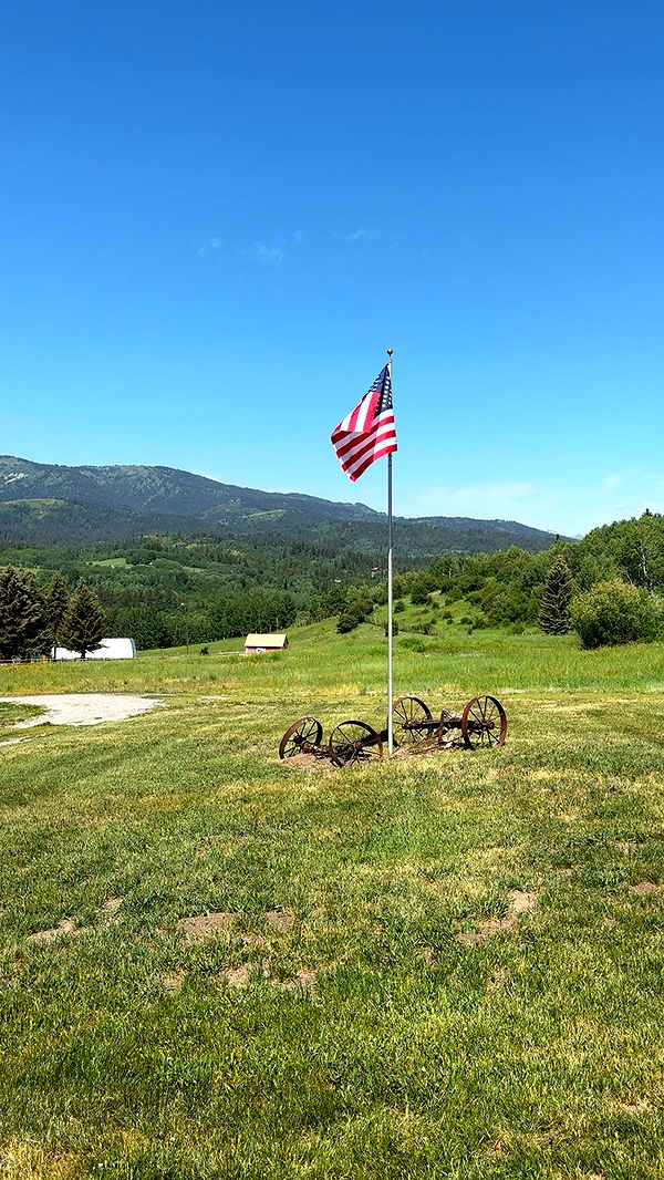 realhaylujan image ~ Altpins