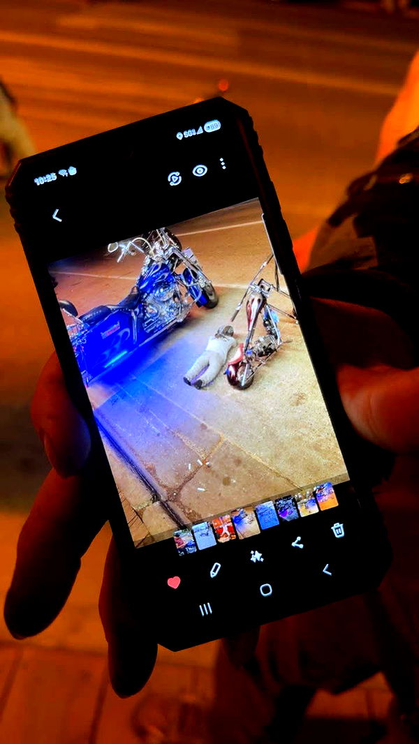 realhaylujan image ~ Altpins