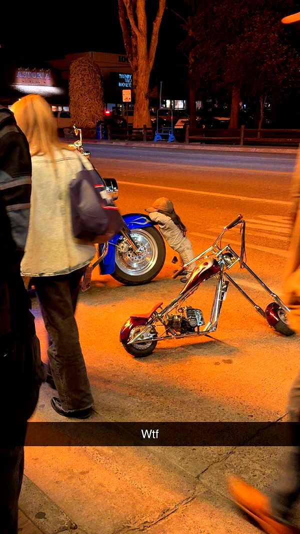 realhaylujan image ~ Altpins