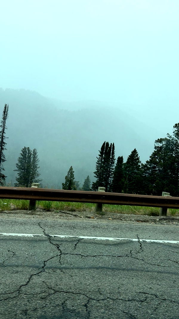 realhaylujan image ~ Altpins