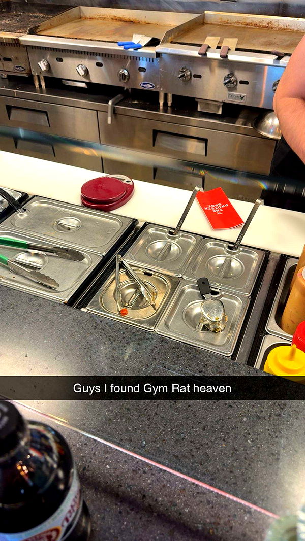 realhaylujan image ~ Altpins