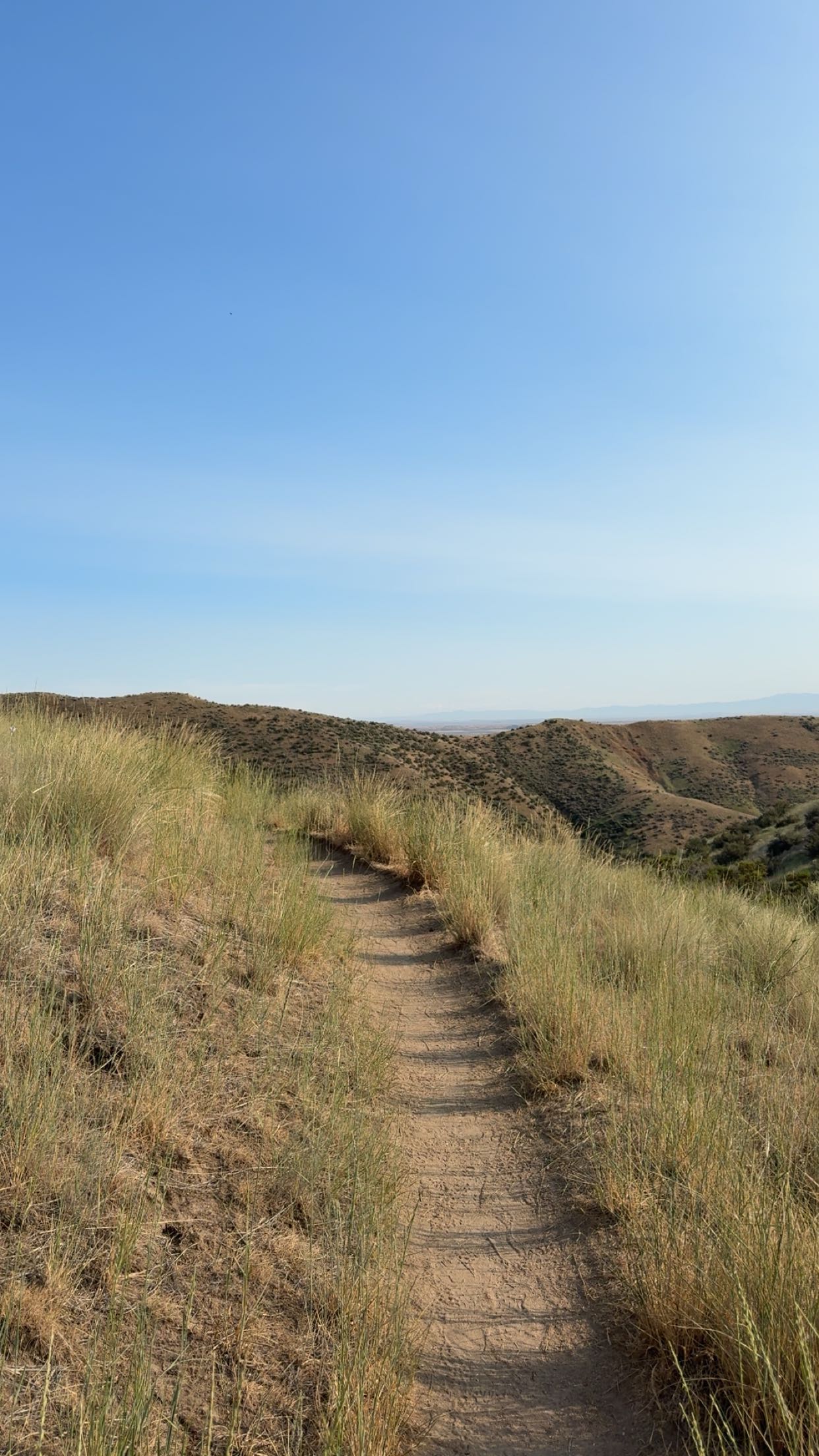 realhaylujan snapchat image archive image