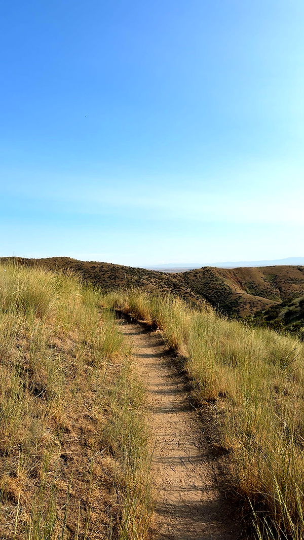 realhaylujan image ~ Altpins