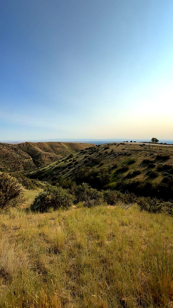 realhaylujan image ~ Altpins