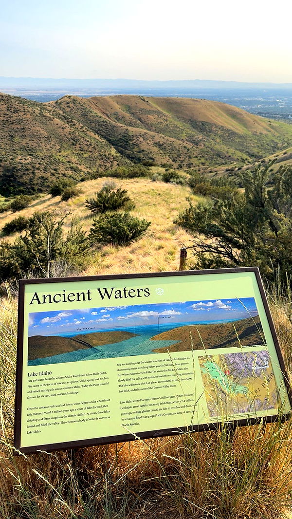 realhaylujan image ~ Altpins