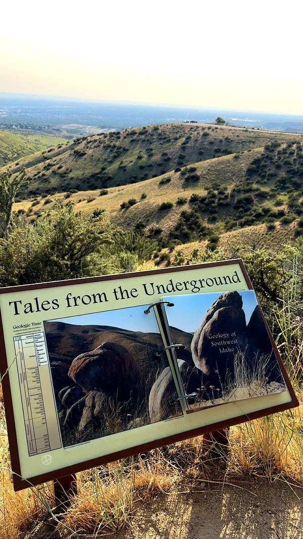 realhaylujan image ~ Altpins