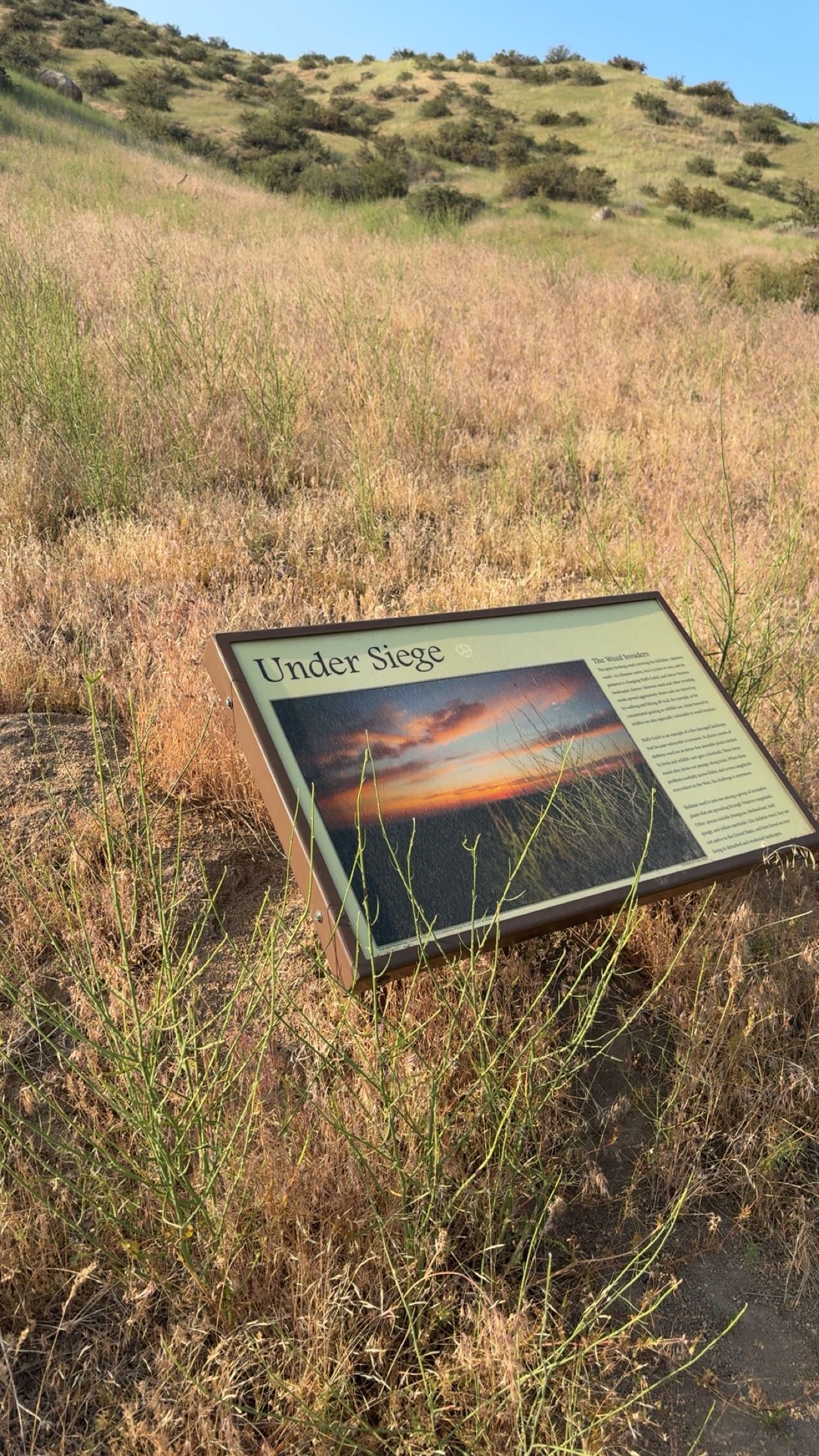 realhaylujan snapchat image archive image