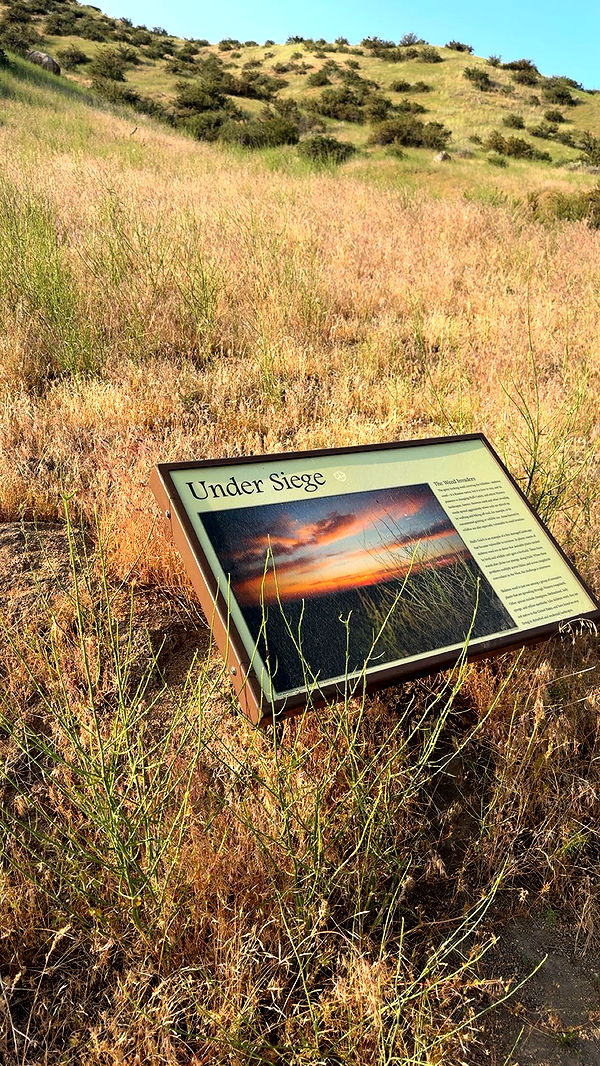 realhaylujan image ~ Altpins