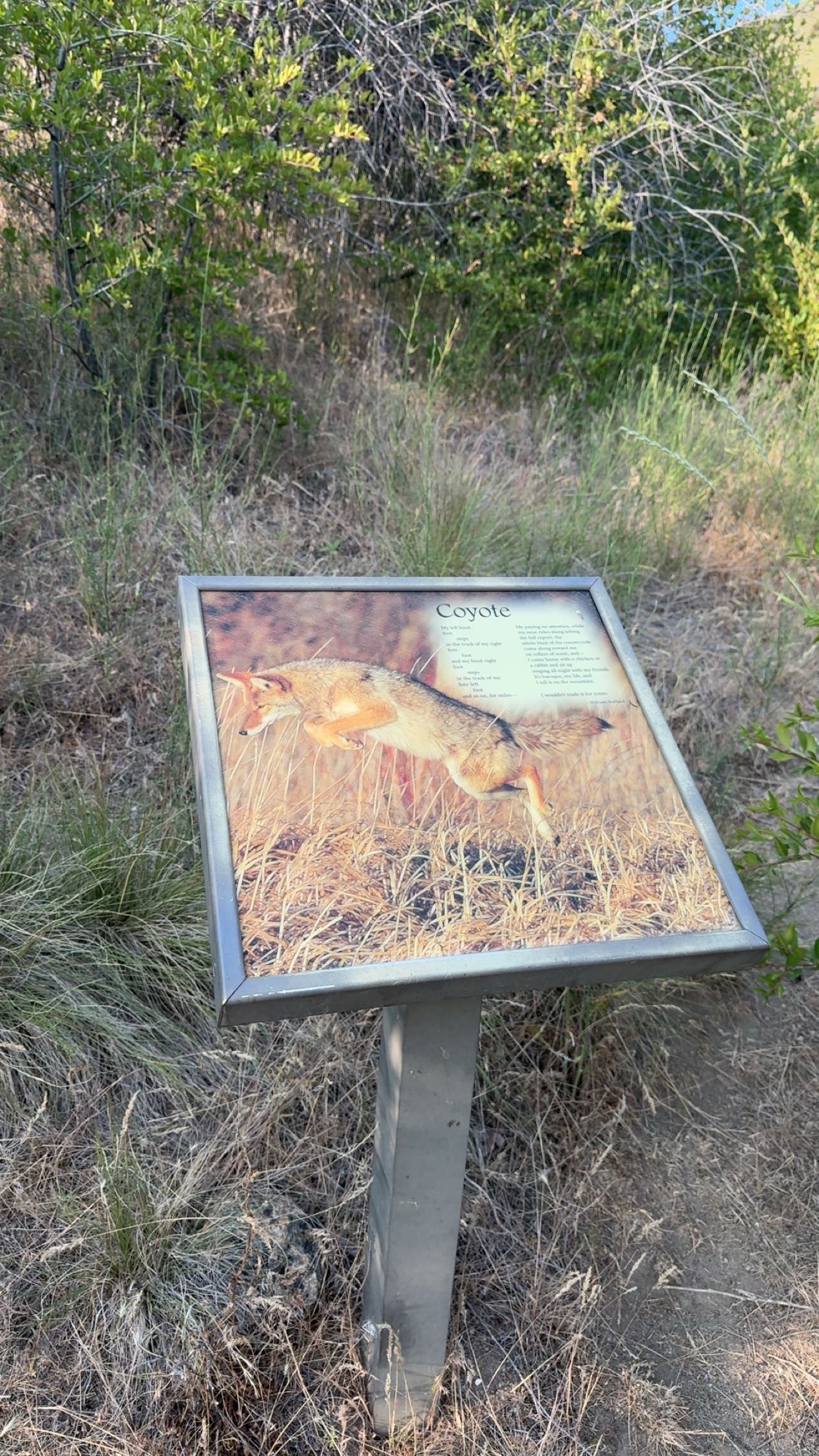 realhaylujan snapchat image archive image