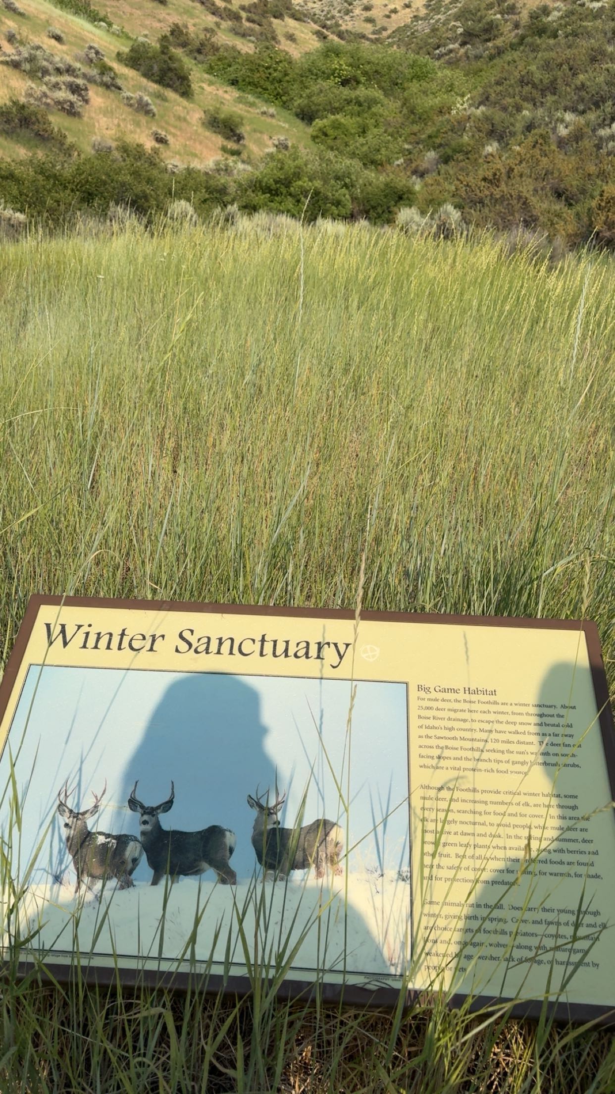 realhaylujan snapchat image archive image