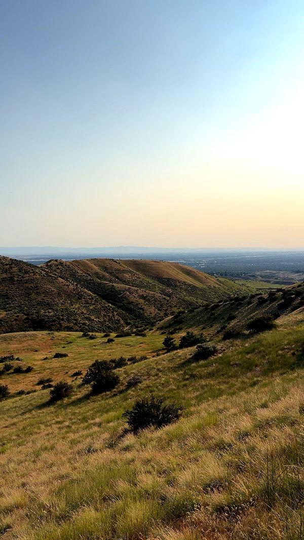 realhaylujan image ~ Altpins