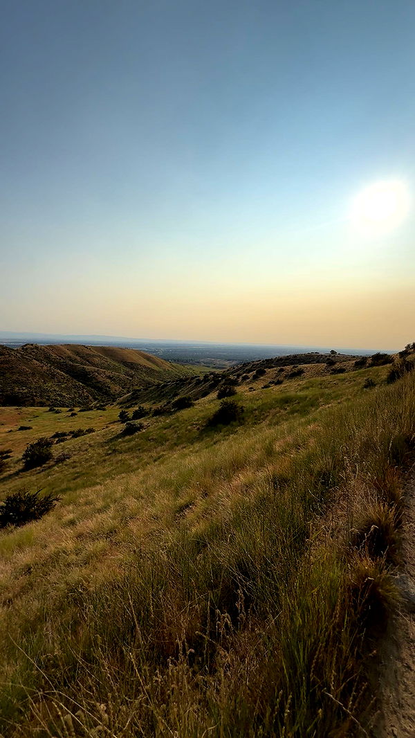 realhaylujan image ~ Altpins