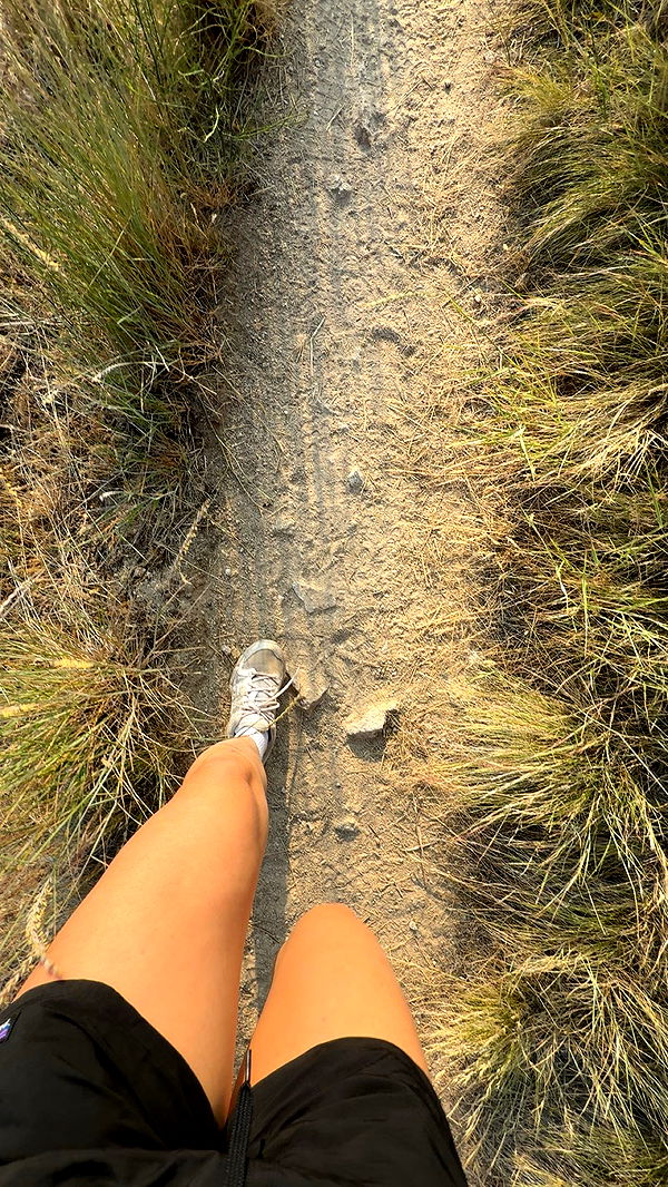 realhaylujan image ~ Altpins