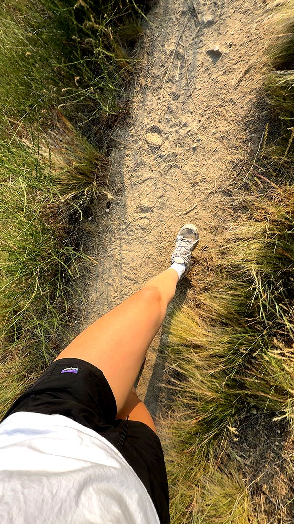 realhaylujan image ~ Altpins