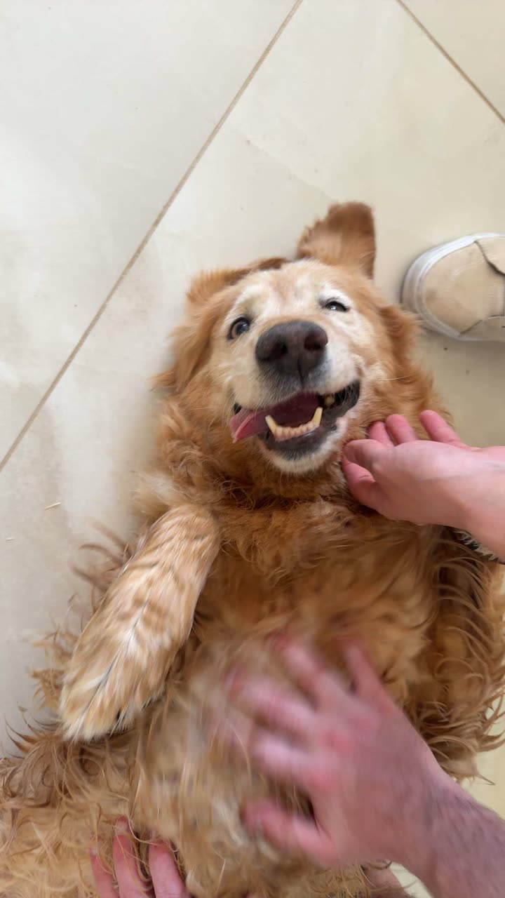 realhaylujan snapchat image archive image