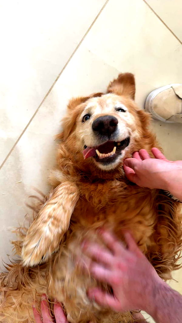 realhaylujan image ~ Altpins