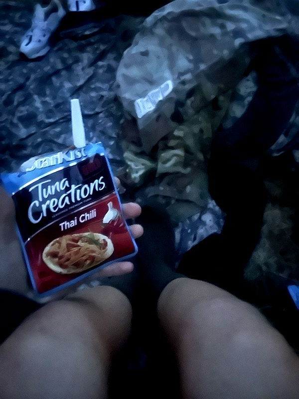 realhaylujan image ~ Altpins