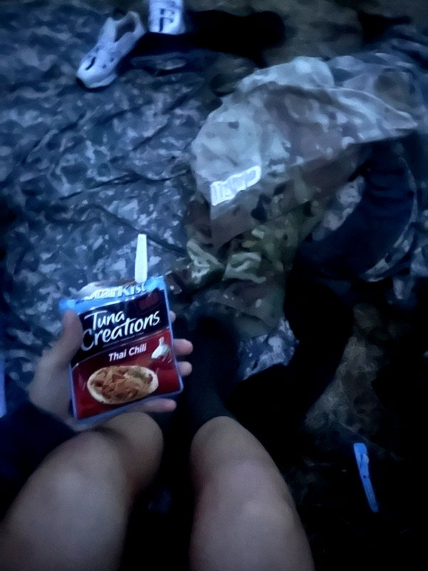 realhaylujan image ~ Altpins