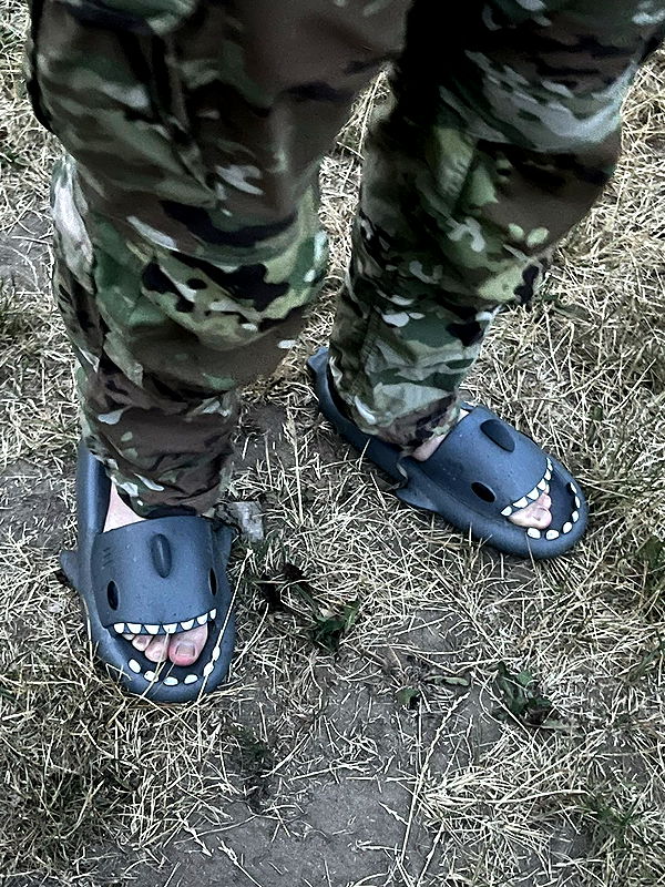 realhaylujan image ~ Altpins