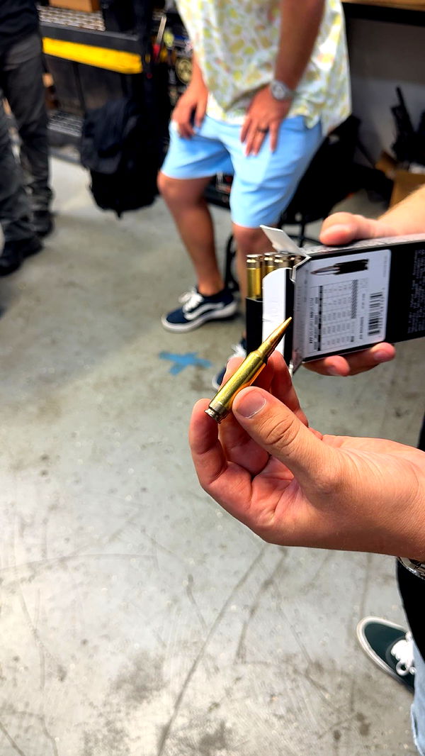 realhaylujan image ~ Altpins