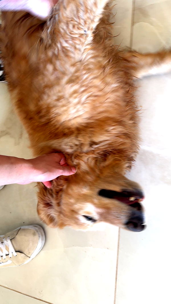 realhaylujan image ~ Altpins