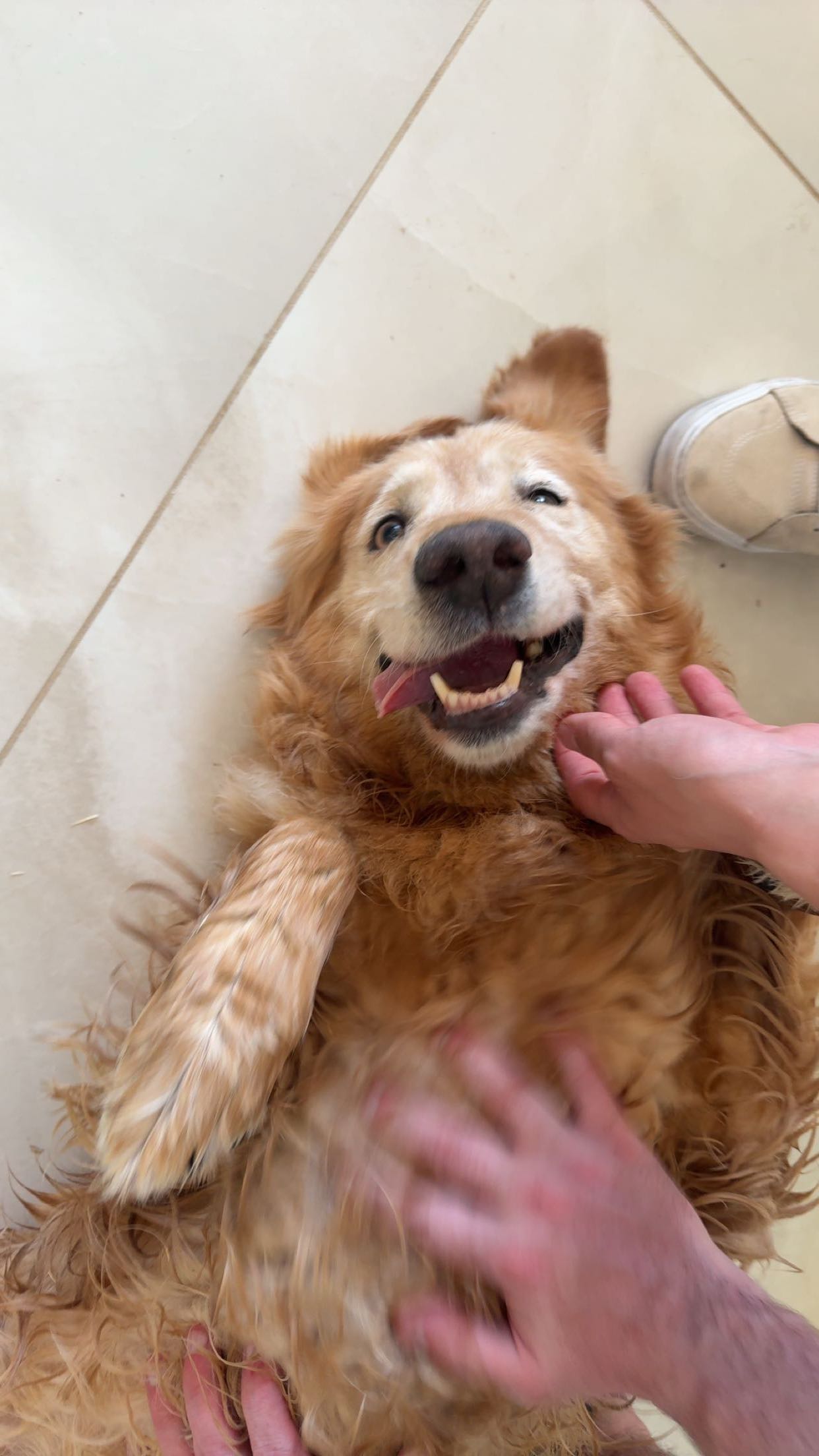 realhaylujan snapchat image archive image