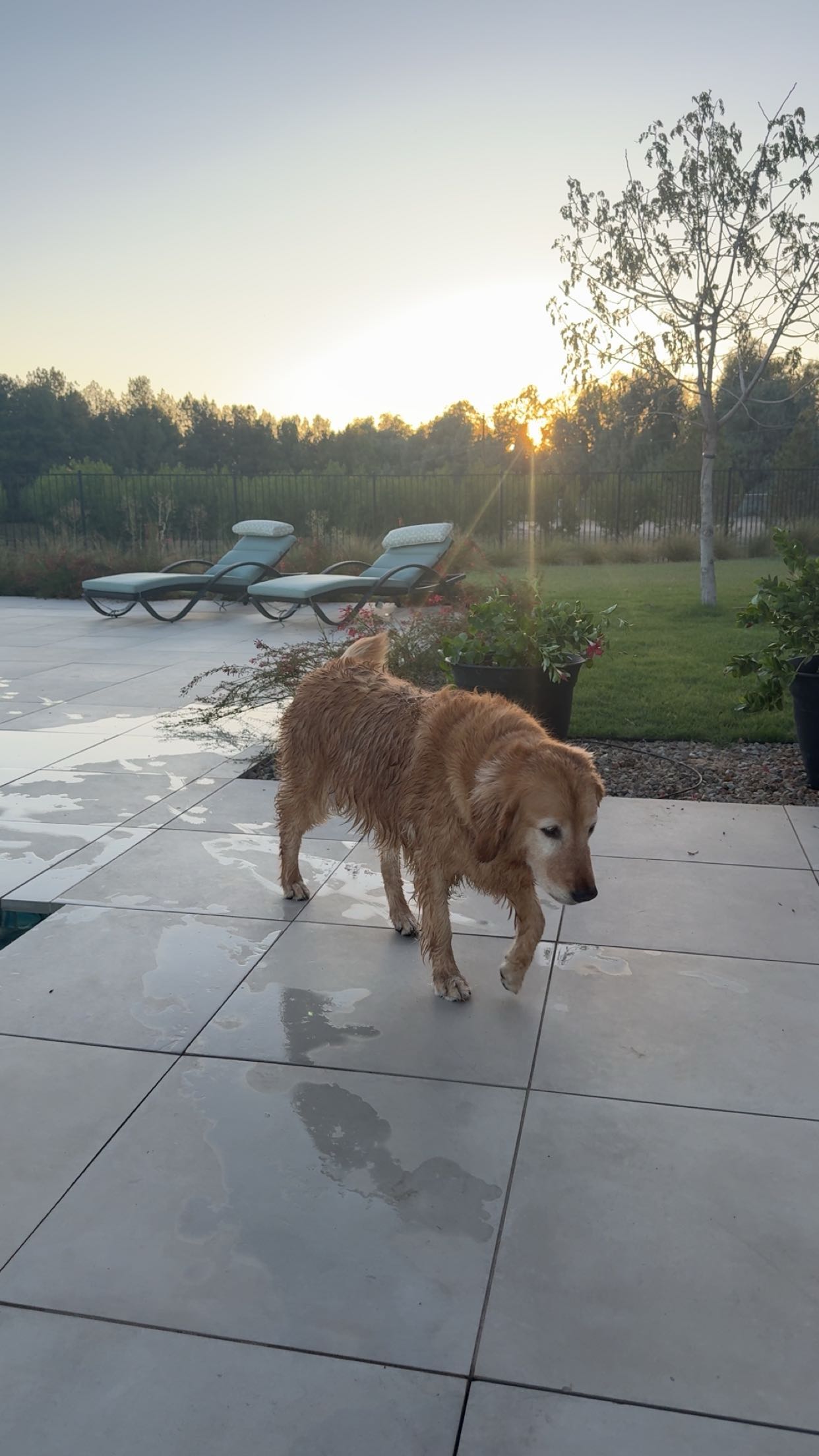 realhaylujan snapchat image archive image