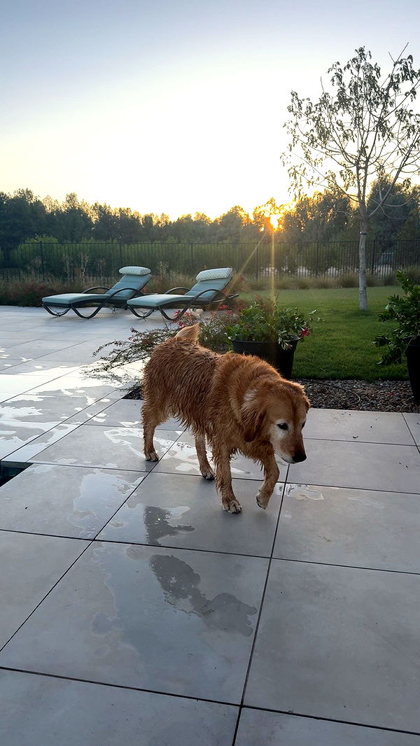 realhaylujan image ~ Altpins