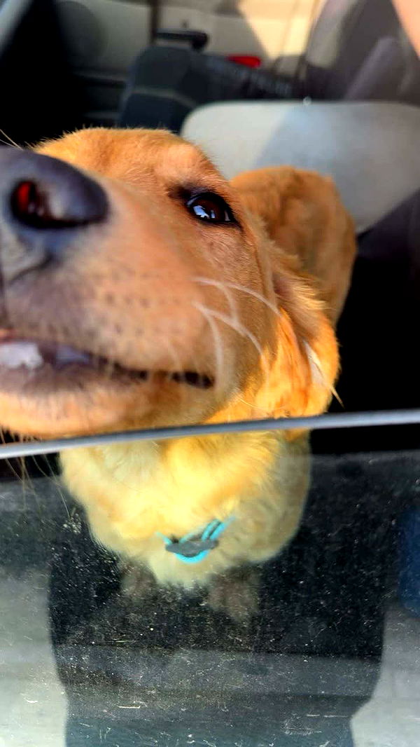 realhaylujan image ~ Altpins