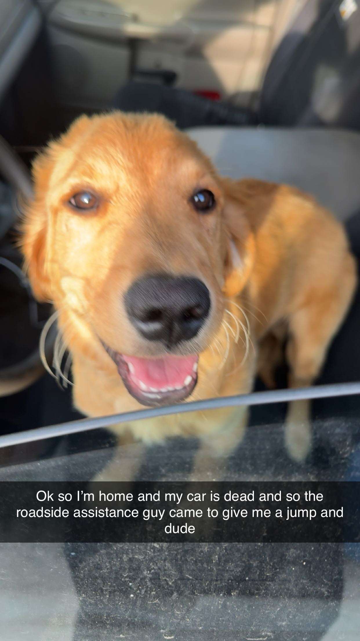 realhaylujan snapchat image archive image