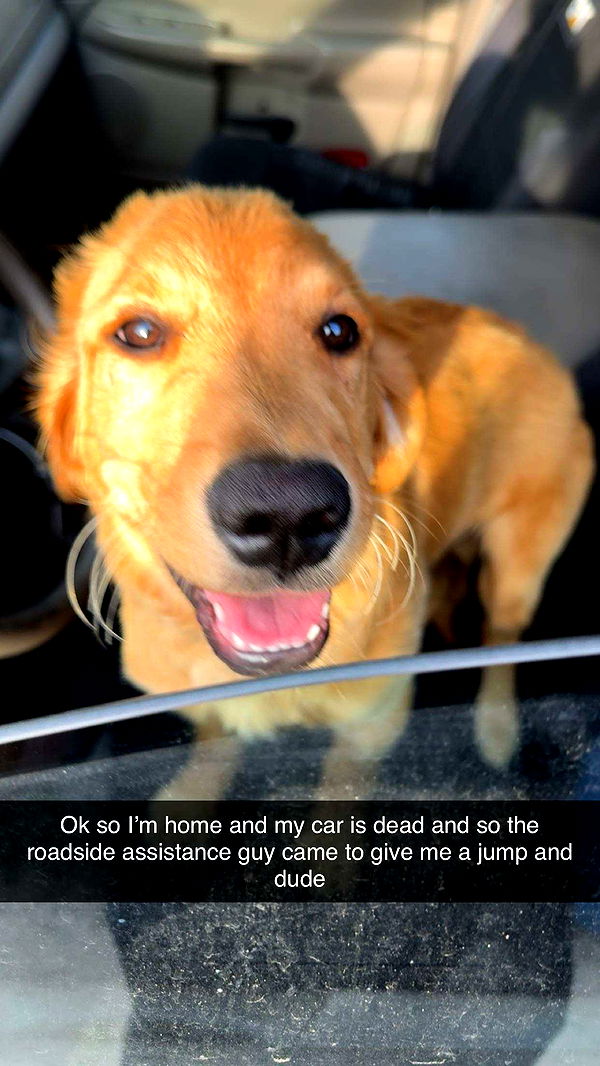 realhaylujan image ~ Altpins