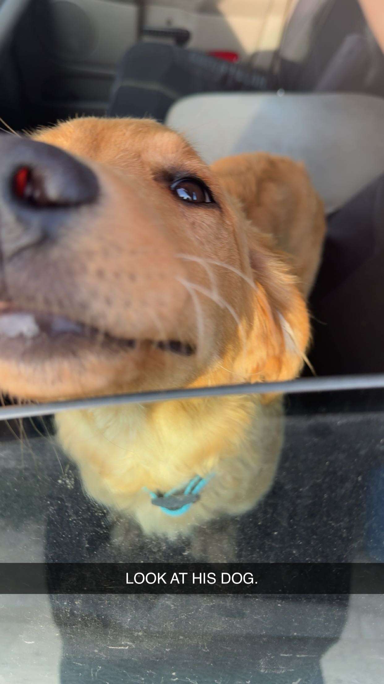 realhaylujan snapchat image archive image