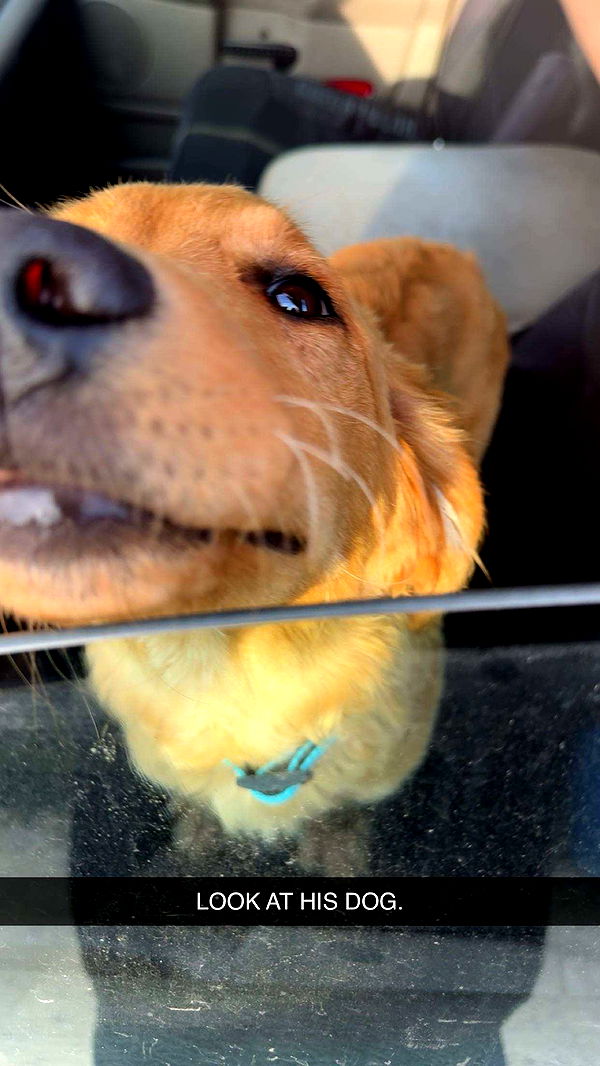 realhaylujan image ~ Altpins