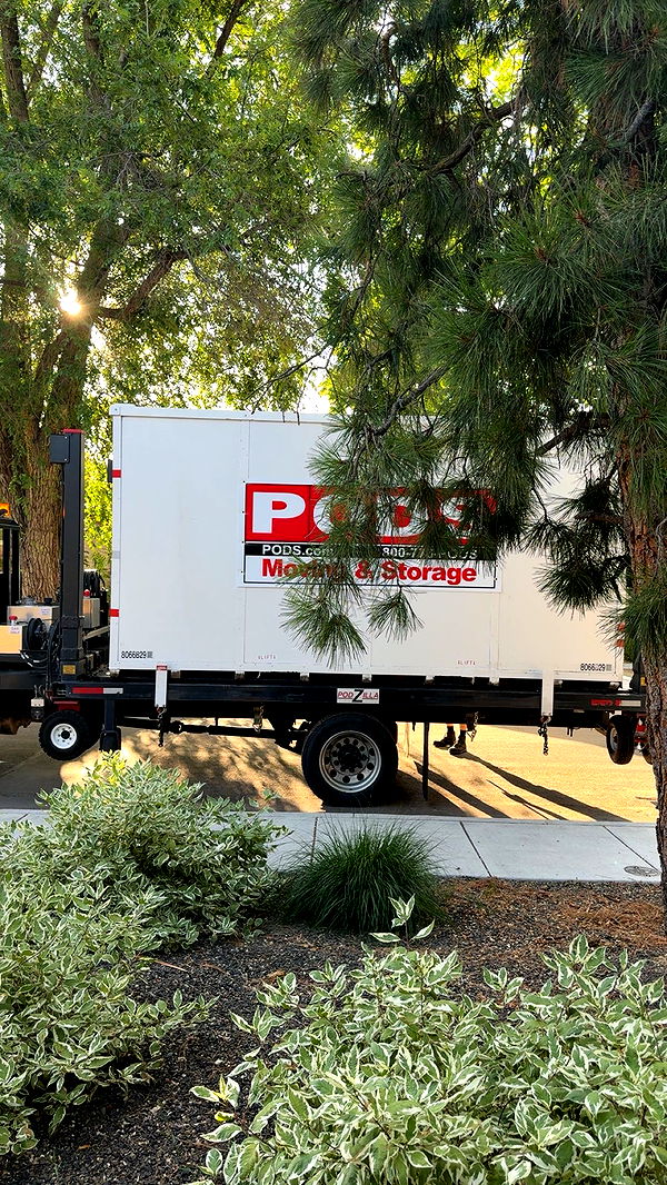 realhaylujan image ~ Altpins