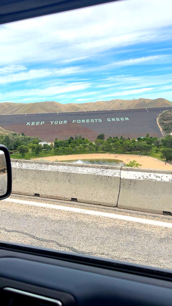 realhaylujan image ~ Altpins